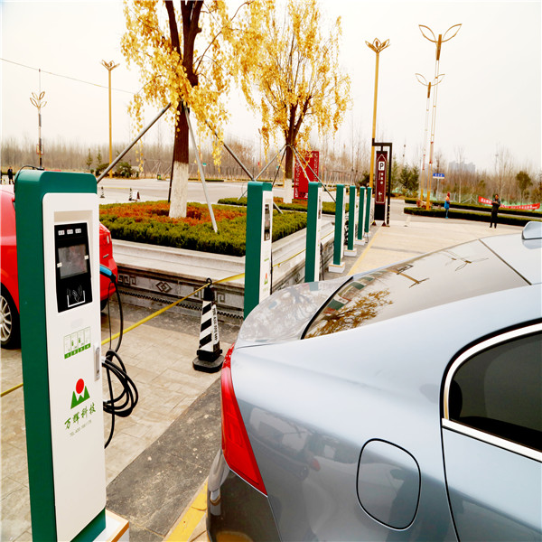 ���׮����Ǯ