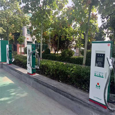 ������׮����