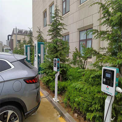 �����������׮����